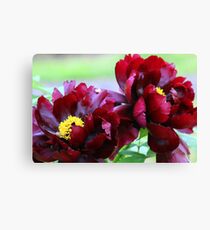 Living Large Canvas Print