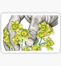 Daffodils Sticker