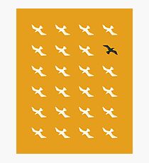 FLOCK Photographic Print