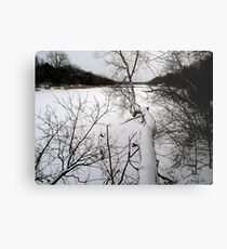 The Bold and the Beautiful Metal Print