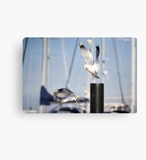 Survival of the fittest Canvas Print