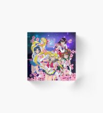Super Inner Senshi Acrylic Block