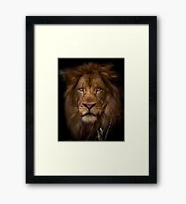 Passive Framed Print