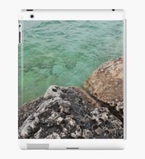 Tobermory Waterscape iPad Case/Skin