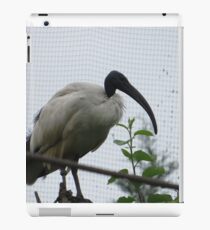Request, Dares. Glossy Ibis Panington Zoo iPad Case/Skin