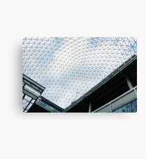 biosphere Canvas Print