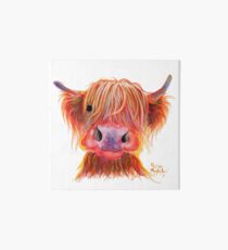 Scottish Highland Hairy Cow ' CHILLI CHOPS ' by Shirley MacArthur Art Board