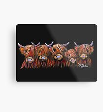 Schottische Hochland-behaarte Kühe 'The Hairy Bunch of Coos' von Shirley MacArthur Metallbild