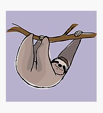 Sloth Photographic Print