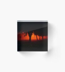 Following Acrylic Block
