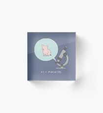 microscopig Acrylic Block