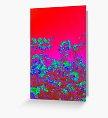 Kimono Greeting Card