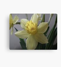 Spring Canvas Print