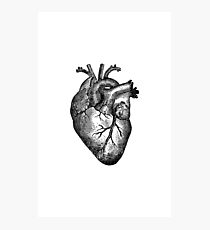 Vintage Heart Anatomy Photographic Print