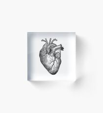 Vintage Heart Anatomy Acrylic Block
