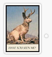 Jackalope - Have You Seen Me? Sticker
