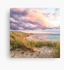 Delight Canvas Print