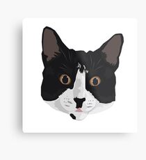 Tuxedo Cat Metal Print