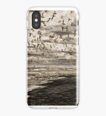 Flock of Birds iPhone Case