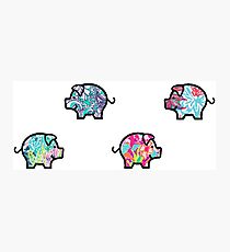 Cute Patterned, Walking Piglets Pack of 4 Photographic Print