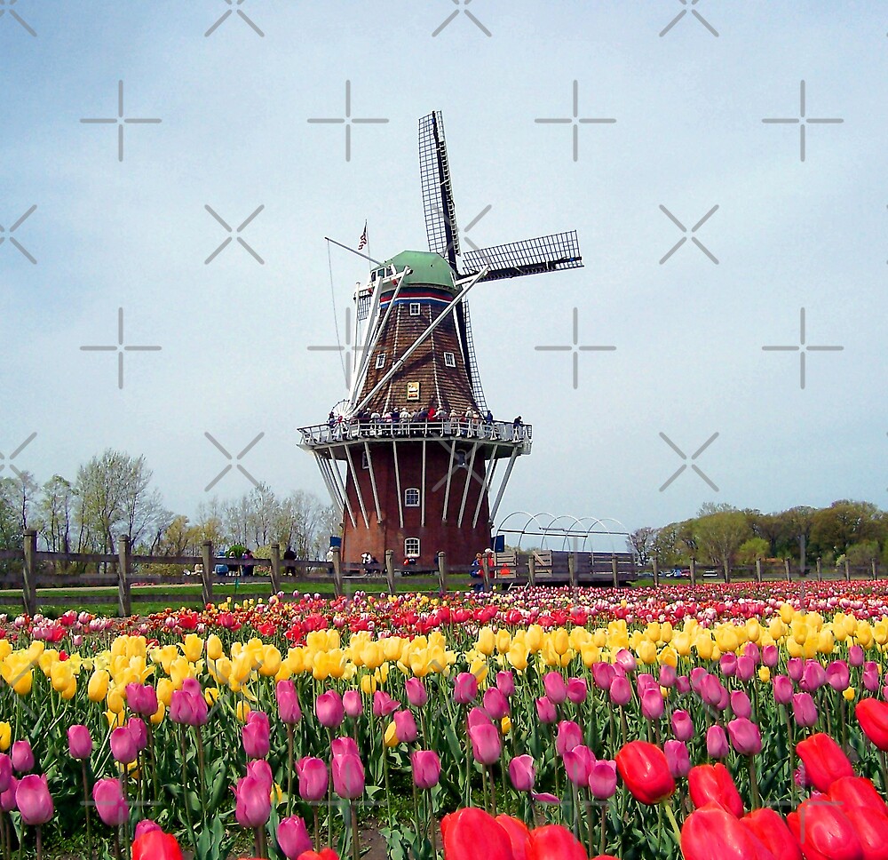 "Holland Tulip Festival" by mikrin Redbubble