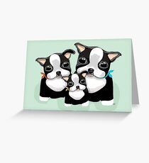 Boston Terriers Greeting Card