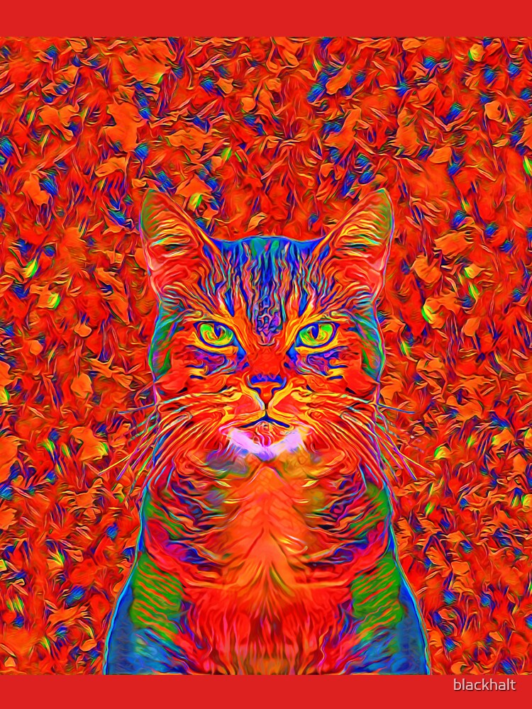 Red Cat by blackhalt