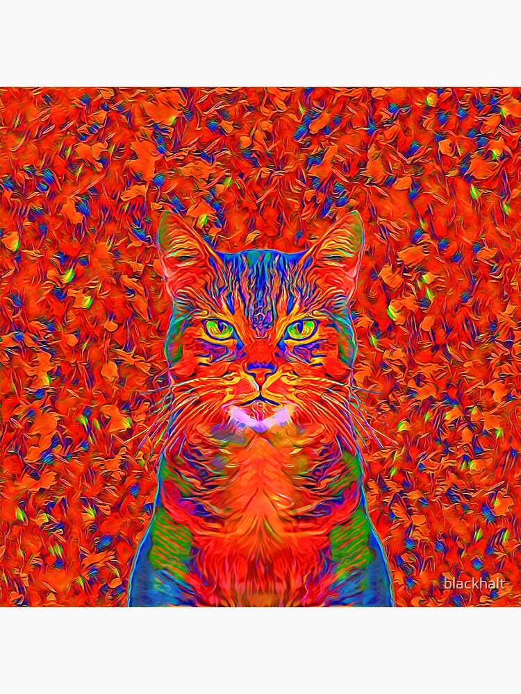 Red Cat by blackhalt