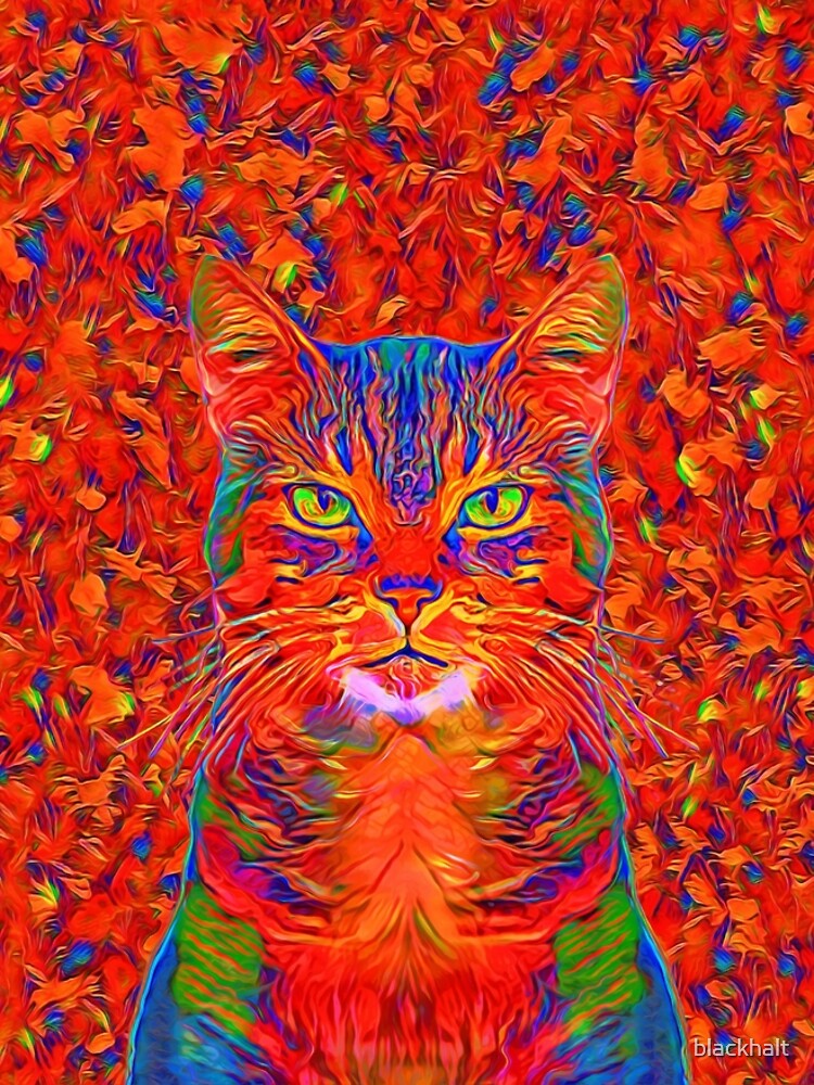 Red Cat by blackhalt