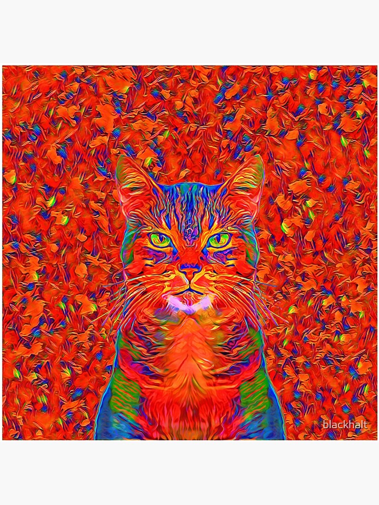 Red Cat by blackhalt