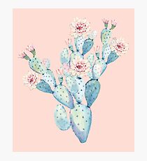 Pretty Cactus Pink and Mint Green Desert Cacti Home Decor Photographic Print