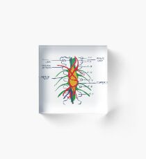 Hemangioblastoma on the Wall Acrylic Block