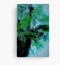 Forest Giants Canvas Print
