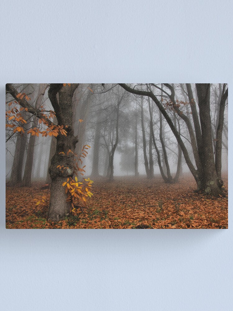 Alternate view of The last of the autumn leaves Canvas Print
