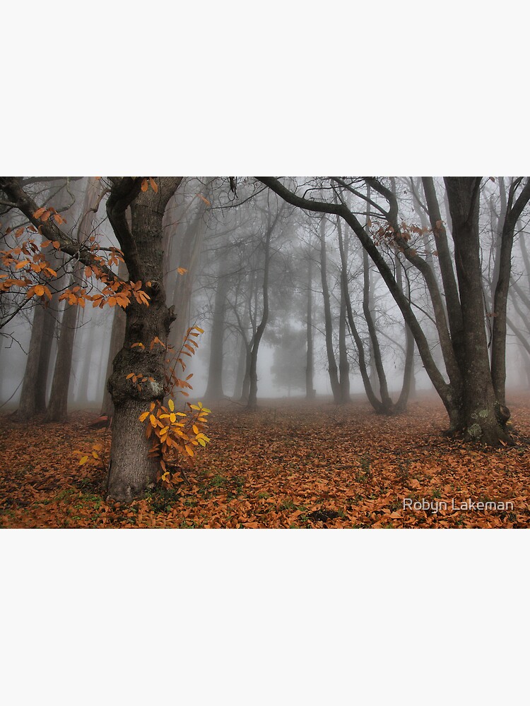 The last of the autumn leaves by Rivergirl