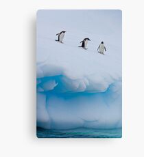 Penguins, Ice & Water Canvas Print