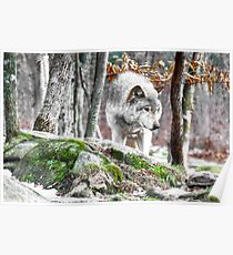 The Forest Hunter Poster