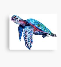 Sea Turtle Canvas Print