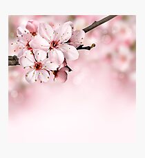 BLOOMING BLOSSOMS Photographic Print