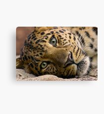 Passive Canvas Print