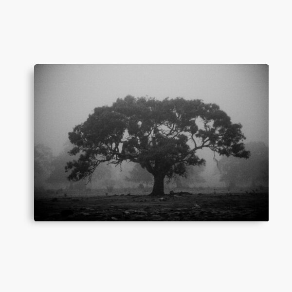 Strength Canvas Print