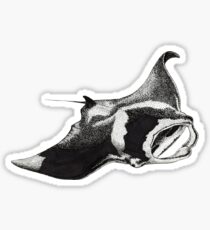 Manta Ray Sticker