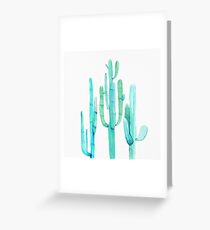 Pretty Cactus Turquoise Desert Cacti Wall Art Three Amigos Greeting Card