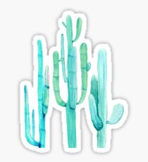 Pretty Cactus Turquoise Desert Cacti Wall Art Three Amigos Sticker