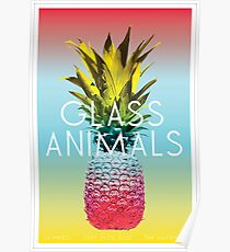Glass Animals Tour Poster Poster
