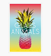 Glass Animals Tour Poster Photographic Print