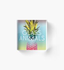 Glass Animals Tour Poster Acrylic Block