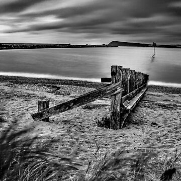 Artwork thumbnail, Beach posts in black and white by hartrockets