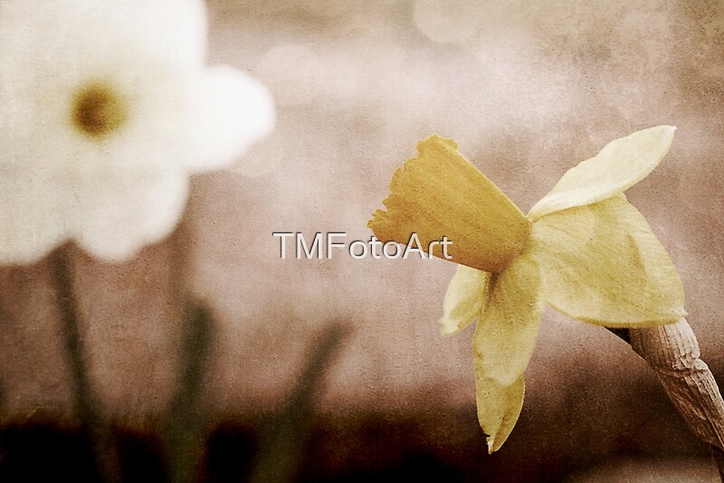 "If These Flowers Could Speak" by Trish Mistric Redbubble