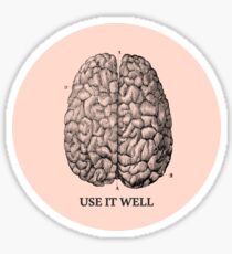 Use it well - Brain Sticker